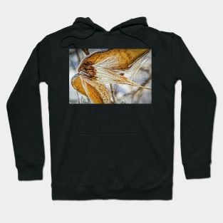 Frosted Milkweed Hoodie